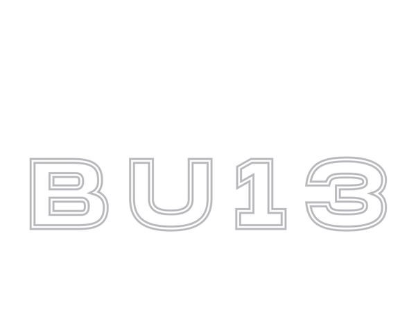 Unstable13